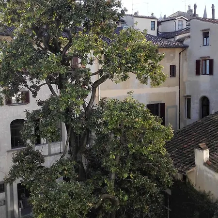 Dali * Florença